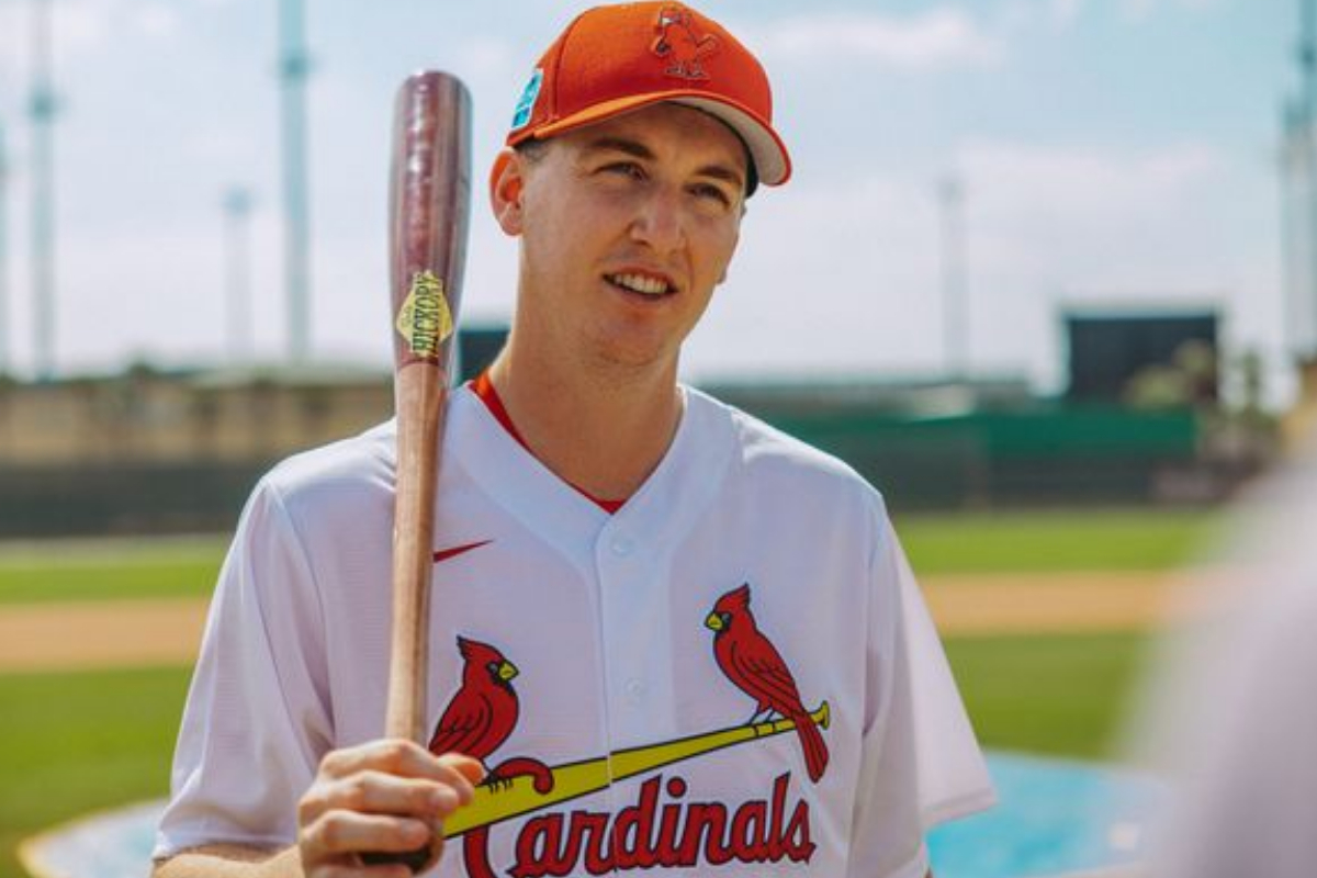 Harry Brook power hitting