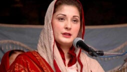 Maryam Nawaz to introduce ‘Chinese technique’ for cancer treatment