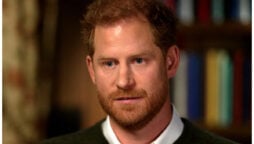 Prince Harry recalls times government pulled out security