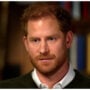 Prince Harry recalls times government pulled out security