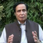 Zaman Park operation done on Maryam Nawaz orders: Pervaiz Elahi