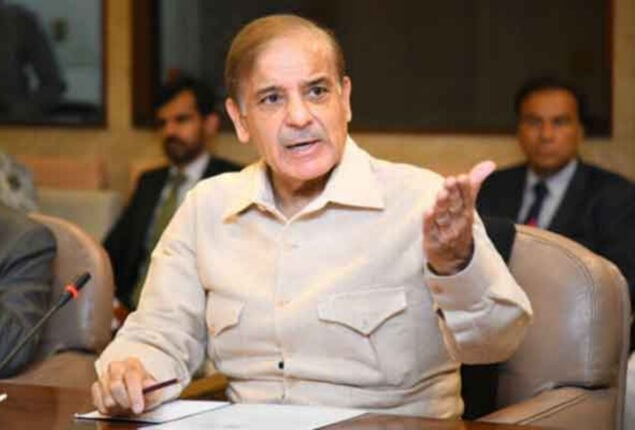 Shehbaz Sharif chairs PML-N’s consultative meeting in Lahore