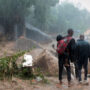 Cyclone Freddy death toll in southeast Africa crosses 500