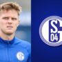 Bundesliga: Marius Bulter riding a wave with revitalised Schalke