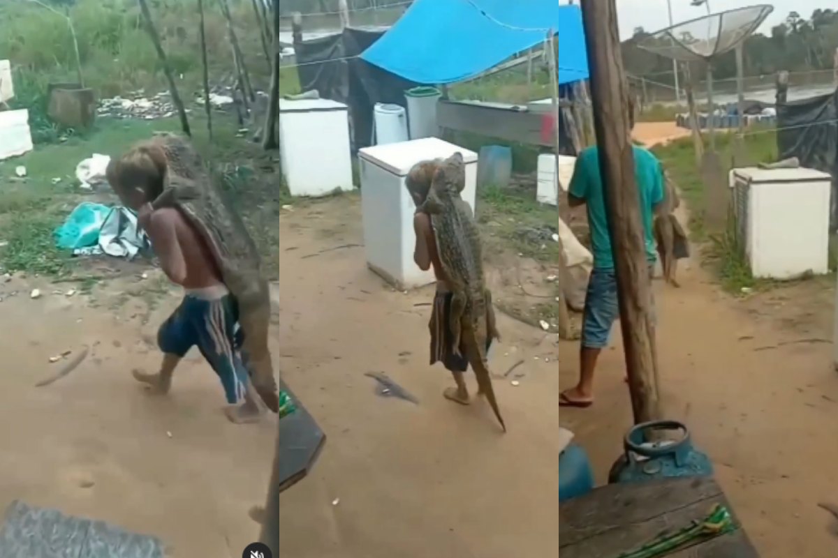 Boy carrying crocodile