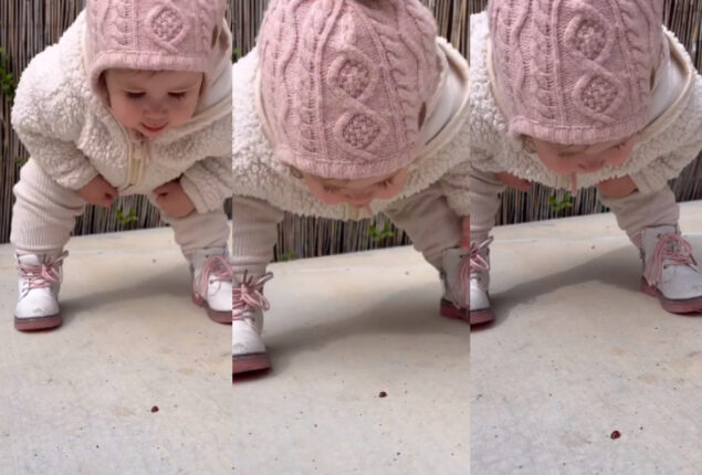 Watch funny: Toddler embracing insect gone viral