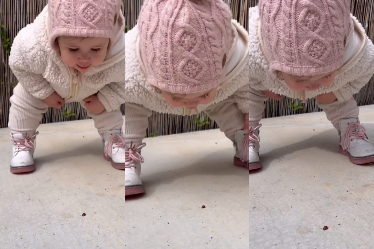 Toddler embracing insect