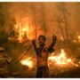 UN’s  “survival guide” study issues a grave climate warning