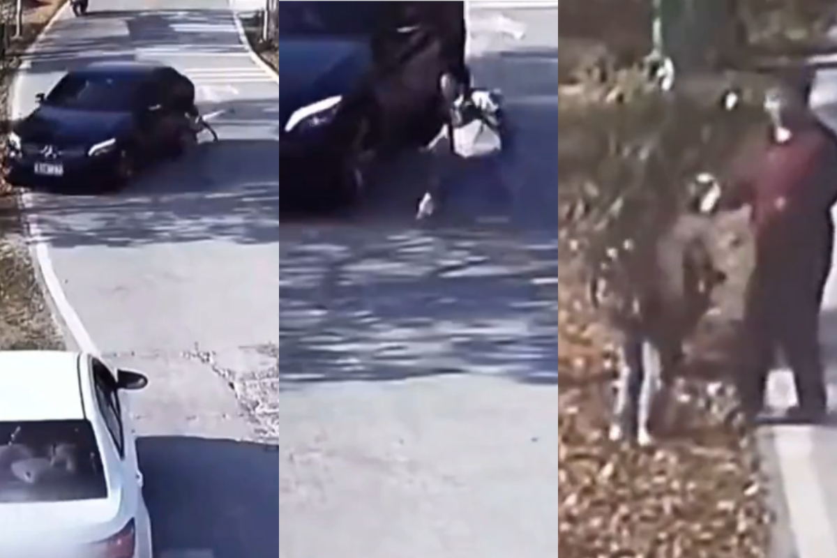 Toddler fatal collision