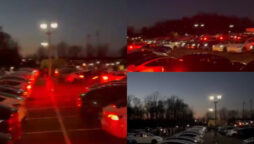 Watch: Tesla cars flashing lights to beat of Oscar-winning song gone viral
