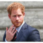 Prince Harry’s recent interview dubbed ‘fascinating and powerful’