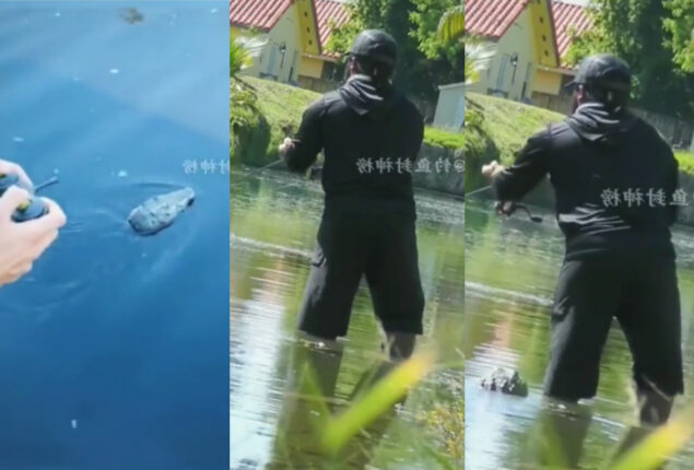 Watch: Man is fishing in knee-deep water when crocodile’s head rubs against his leg; viral