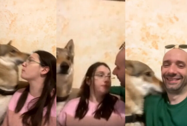Watch viral: Dogs refused pet mom over dad, wows netizens