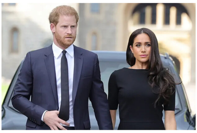 Harry and Meghan entered a world of cynicism & ugliness