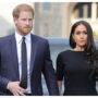 Harry and Meghan entered a world of cynicism & ugliness