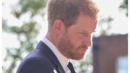 Prince Harry advised for ‘no exceptions for royalty’