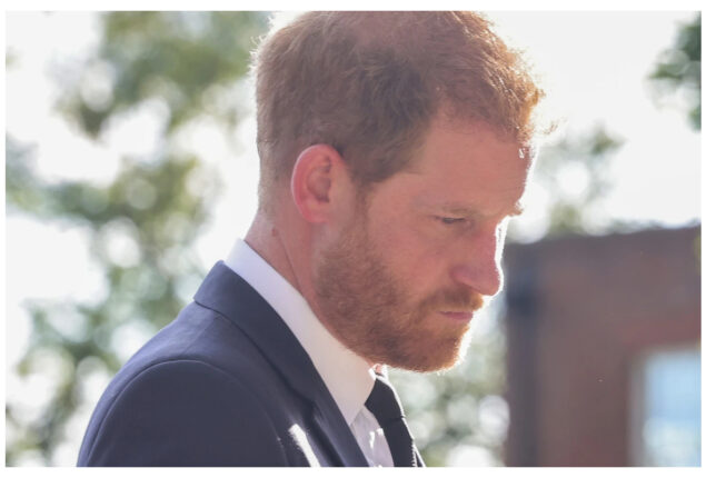Prince Harry advised for ‘no exceptions for royalty’