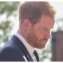 Prince Harry advised for ‘no exceptions for royalty’