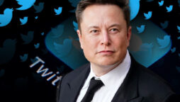 Elon Musk blocked account