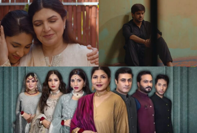 Netizens React to last episode of drama serial ‘Mere Damad’