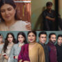 Netizens React to last episode of drama serial ‘Mere Damad’