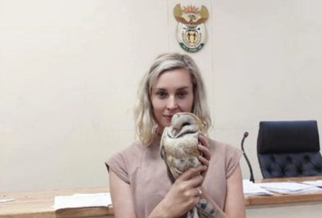 Read viral: Owl Rescue Center rescued owl through court trial