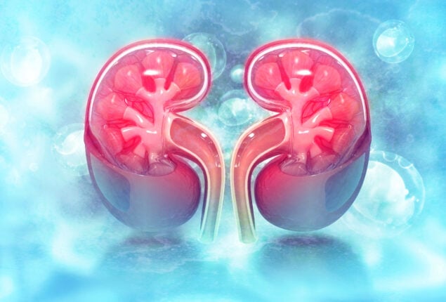 How to avoid Chronic Kidney Disease and tell-tale signs of Kidney Weakness
