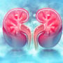How to avoid Chronic Kidney Disease and tell-tale signs of Kidney Weakness