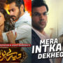 Tere Bin OST uploaded by Zee Music on their YouTube
