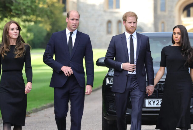 Prince William got infuriated by news of bullying Meghan Markle & Prince Harry