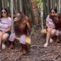 Naughty chimpanzee kisses woman on cheek goes viral
