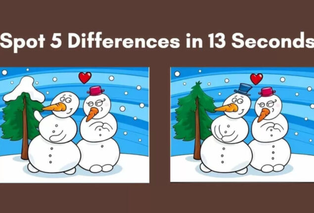 Spot The Difference: Find 5 differences in two pictures within 13 sec