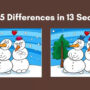 Spot The Difference: Find 5 differences in two pictures within 13 sec