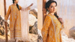 Yumna Zaidi exudes elegance in latest pictures