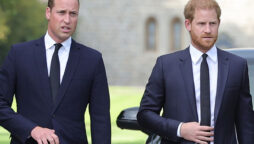 Prince Harry & Prince William’s intimate talk on verge of Megxit