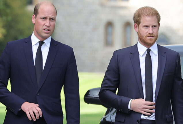 Prince Harry & Prince William’s intimate talk on verge of Megxit