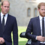Prince Harry & Prince William’s intimate talk on verge of Megxit
