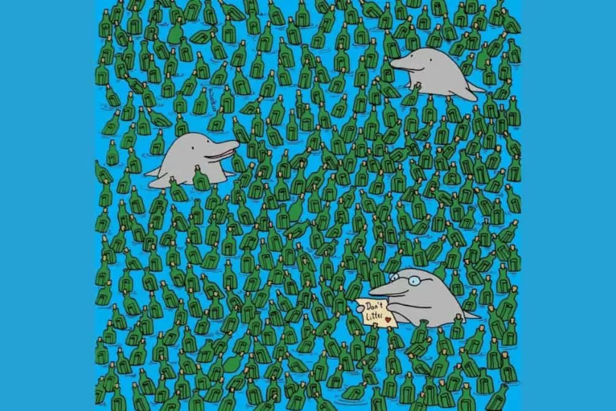 Seek and Find Puzzle