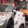 Beijing flooded by ‘worm rain’, people asked to bring umbrellas