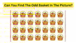 Brain Teaser