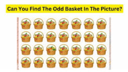 Brain Teaser: Find the odd basket within 57 seconds