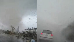 Tornado fury