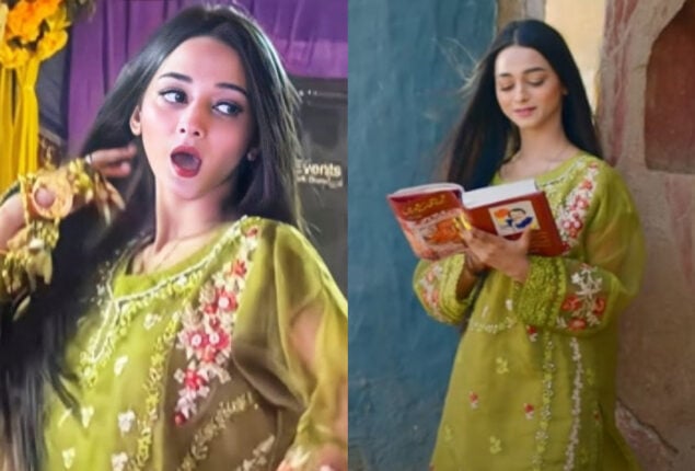 Ayesha Mano trolled for wearing same dress in her music video