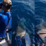 Woman experiences the fright of her life when a shark snaps at her