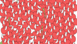 Brain Teaser: Spot the hidden cherry without worm