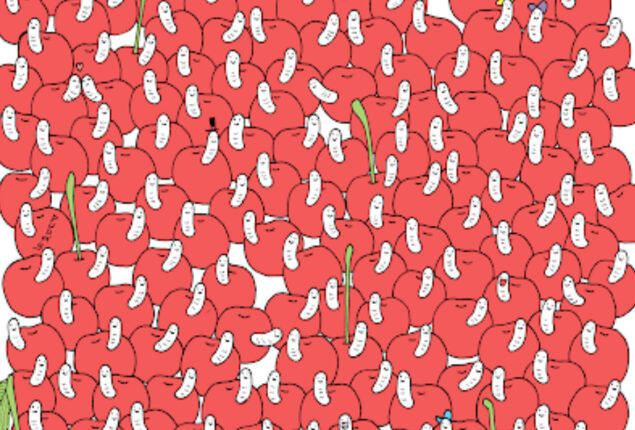 Brain Teaser: Spot the hidden cherry without worm