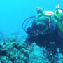 Florida professor aims to spend 100 days in underwater