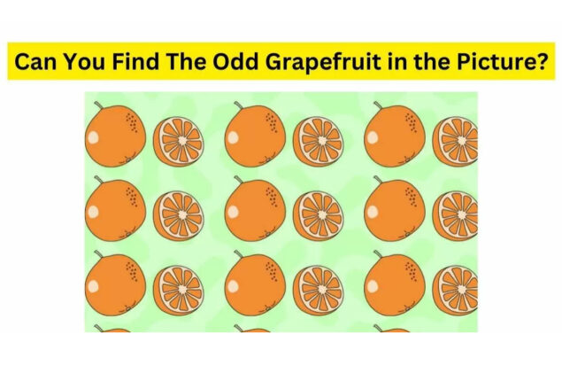 Brain Teaser: If you have the eyes of hawk find Odd Grapefruit in 23 sec
