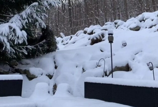 Optical Illusion: Spot the hidden sniper in the snowy scene 6 sec!