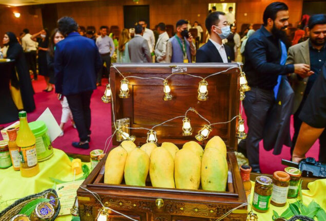 Pakistan Mango Festival in Dubai, must-see for foodies
